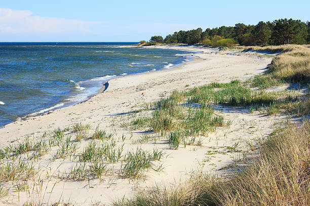 istock Limo beach on Ruhnu island, Estonia 2217328280