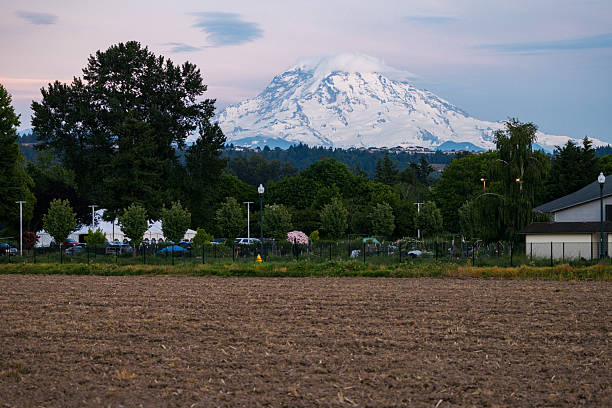istock Mount Rainier Over Farmland in Rural Washington 2217328455