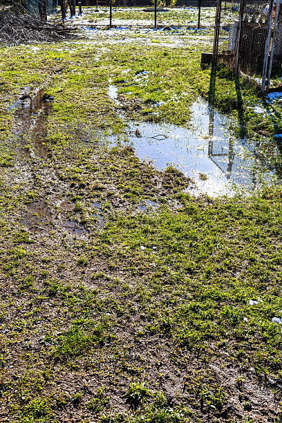 istock puddles in meadow on outskirts after snow melted 2217329050