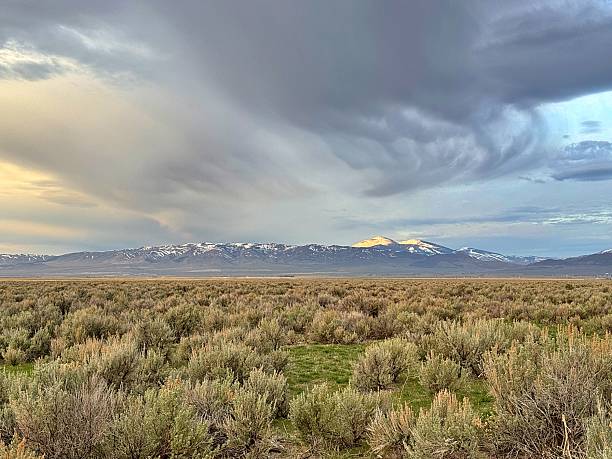 istock Sagebrush Rangeland 2217329239