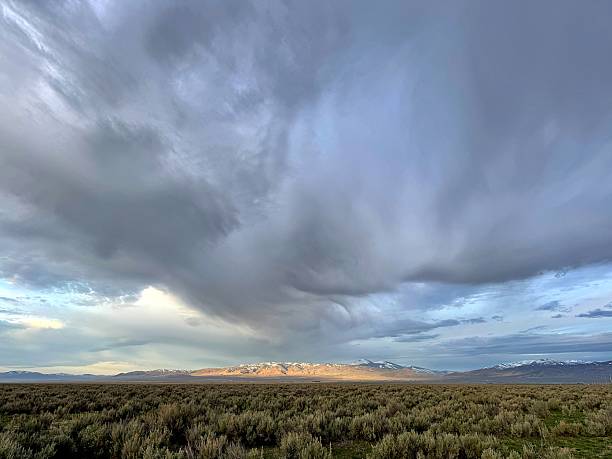 istock Sagebrush Rangeland 2217329285