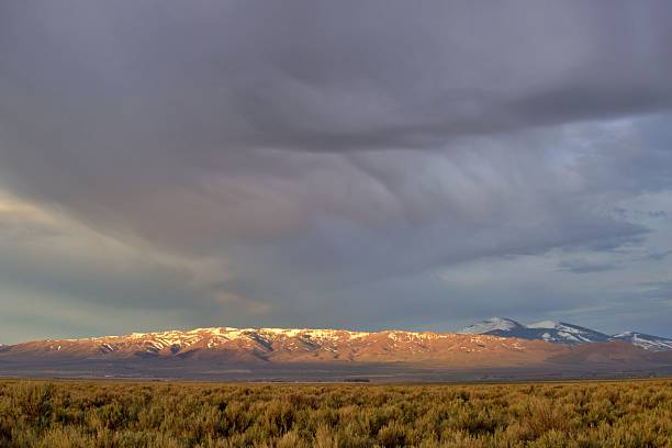 istock Sagebrush Rangeland 2217329290
