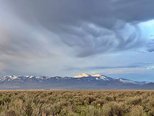 istock Sagebrush Rangeland 2217329296