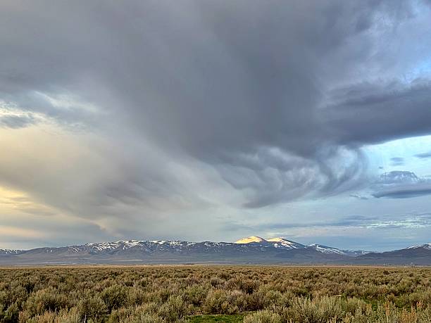 istock Sagebrush Rangeland 2217329302