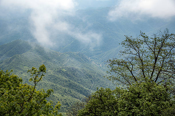 istock beautiful mountains in summer 2217338323