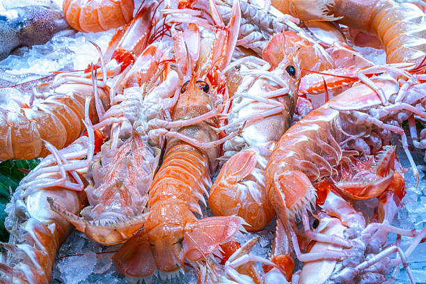 istock fresh crayfish on ice at a market stall 2217339709