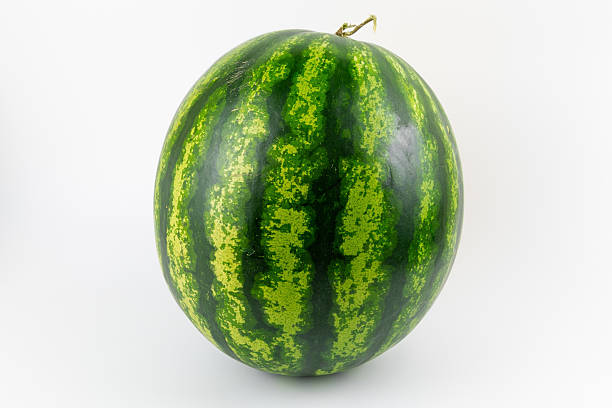 istock Whole fresh green watermelon on white background 2217340910