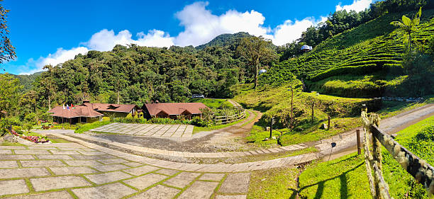 Panama, Boquete, December 10, 2024, Tree Trek lodge and resort, panoramic view