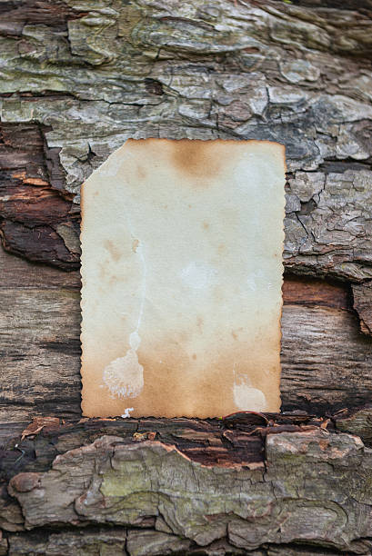 istock Vintage empty paper lies on the old wooden texture 2217341920