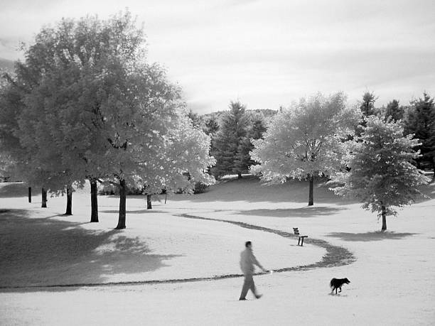 850nm infrared image of Sesqui lake. Trees and a structure are visible in the distance.