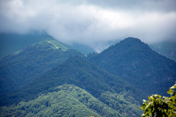istock beautiful mountains in summer 2217345934
