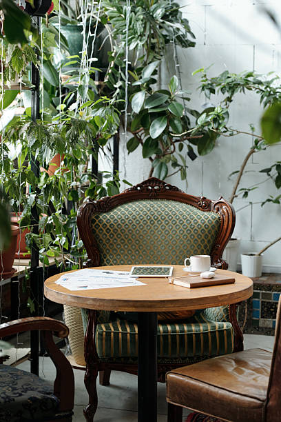 istock Relaxing Study Corner in Indoor Greenhouse Space 2217348306