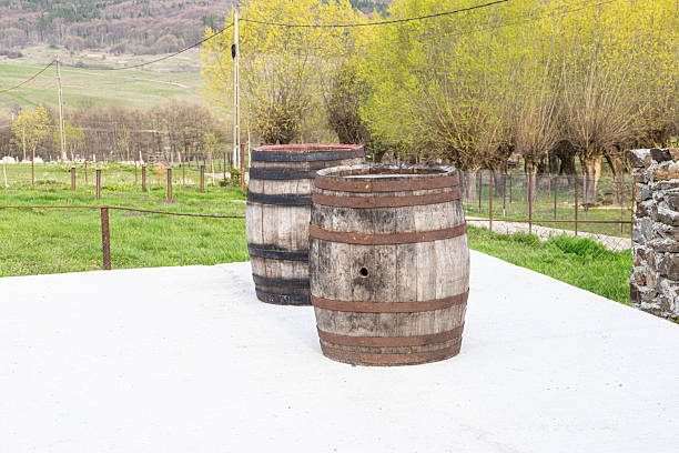 Two wooden barrels sitting outside in the yard