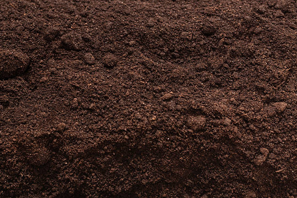 istock Black land for plant background. Top view. 2217353943