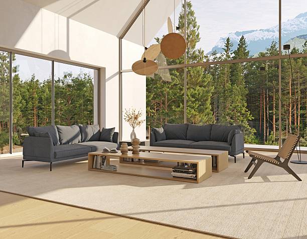 istock Sunlit Modern Living Room 2217358097