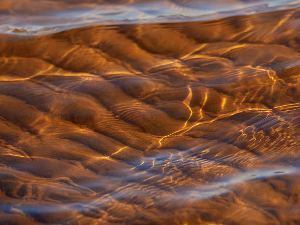 istock Sandy bottom of the forest lake. Water sunny refractions on sandy bottom 2217362245