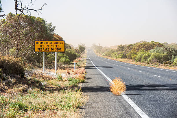 istock Tumbleweed Rolling Past Dust Storm Warning Sign - Victoria, Australia 2217362348