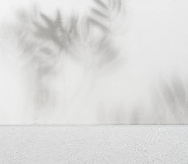 istock Light concrete wall and floor with shadows from plant leaves creating a natural background 2217364413