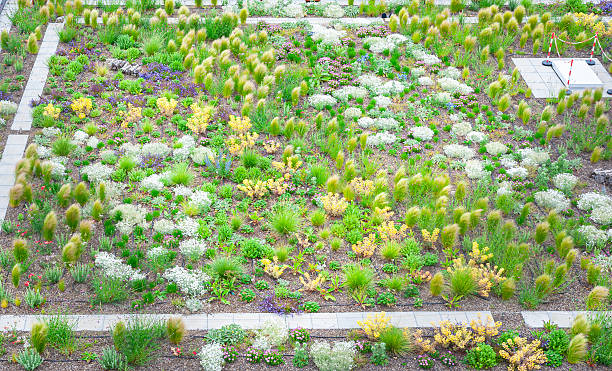 istock Flat roof with vegetation 2217366410