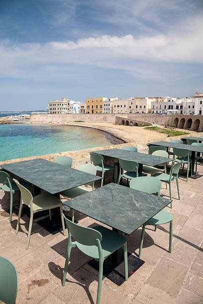 istock Gallipoli beach and promenade, Apulia, Italy 2217367349