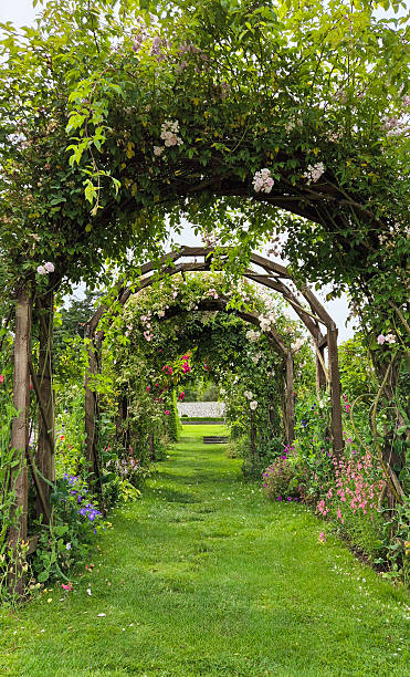 istock Garden arch with roses 2217370520