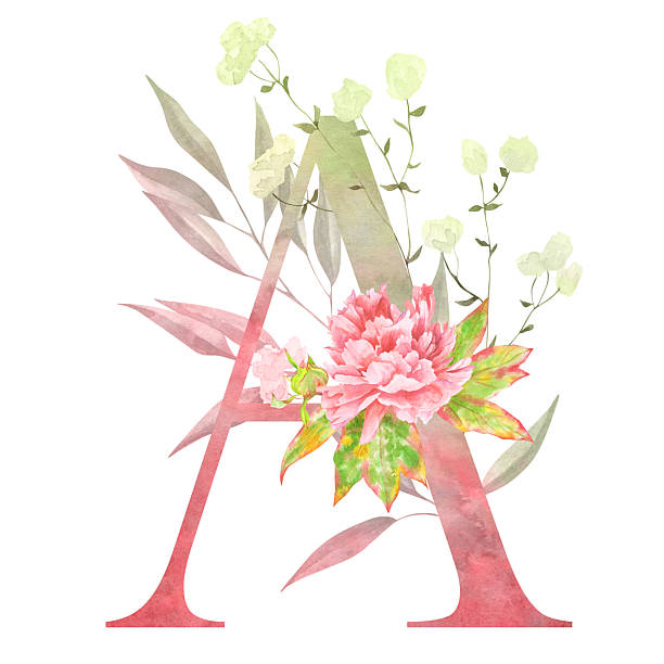 istock A – Elegant watercolor floral letter A decorated with soft pink peonies and lush greenery. 2217375275