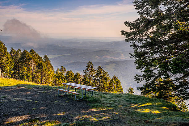Picnic Table With View at Marys Peak Overlook in Oregon Coastal Range