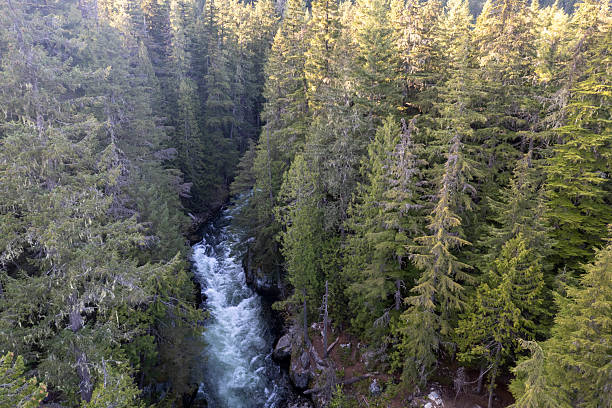 istock Aerial view of wild river and forest 2217378474