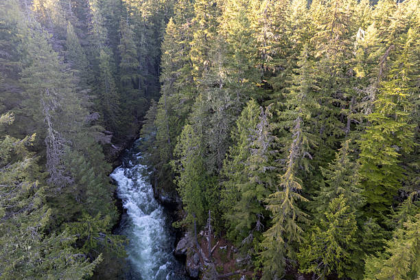istock Aerial view of wild river and forest 2217378491