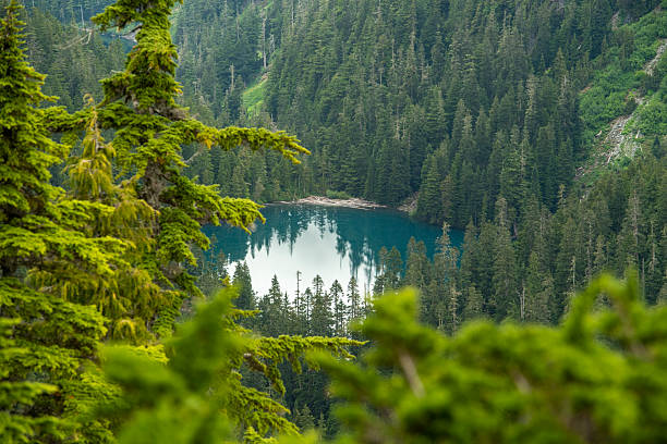 istock Elevated view of alpine lake and forest 2217379208