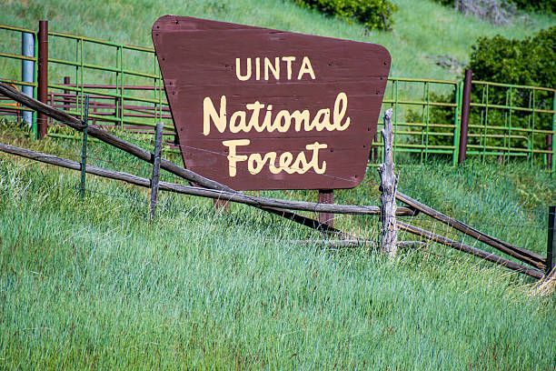 Santaquin, Utah – May 27, 2025: A weathered wooden sign marks the entrance to Uinta National Forest, a protected area managed by the U.S. Forest Service, located in northern Utah. The sign stands amidst lush green grass and is bordered by rustic fencing, emphasizing the area's rural, natural setting.