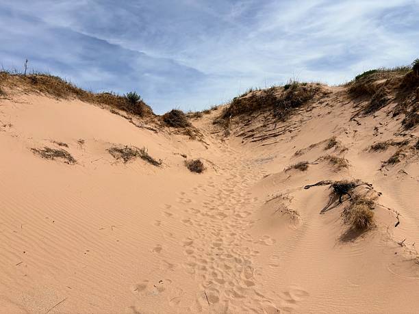 Sleeping Bear Dunes National Lakeshore in Empire, Michigan