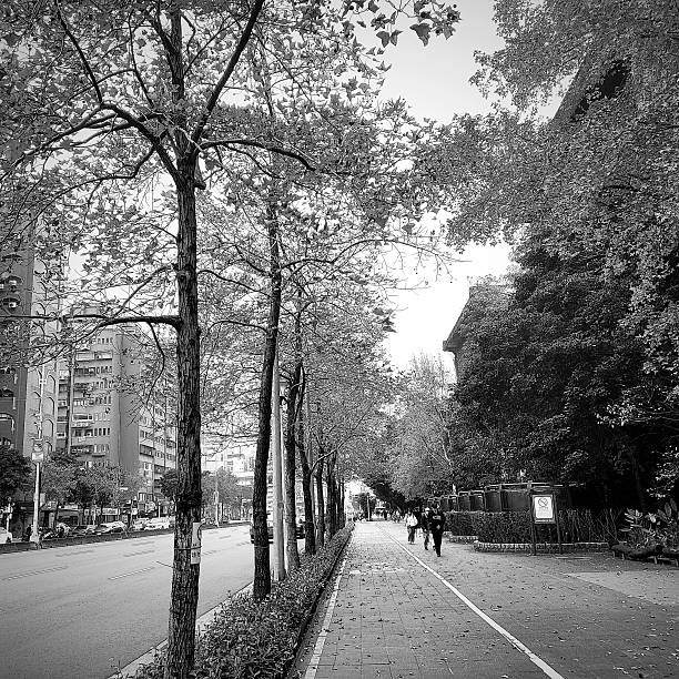 istock Black and White Street in Taiwan 2217396175