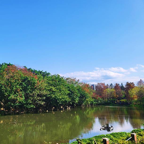 istock Central Park Lake in Taiwan 2217397264