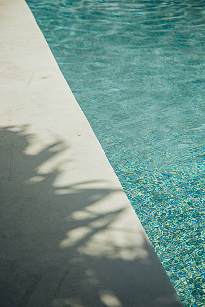 istock Palm shadows cast on poolside deck beside turquoise pool water 2217399657