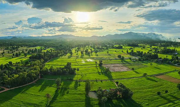 istock Endless green fields under the golden sunset 2217399752
