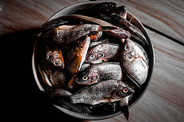 istock Raw Fish in Ceramic Bowl with Dramatic Lighting and Dark Background 2217410444