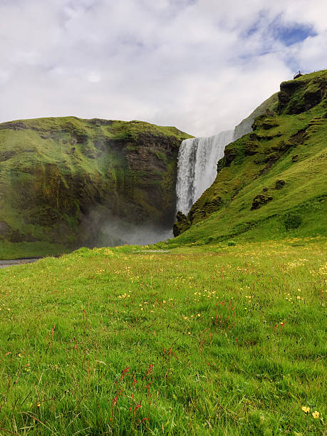 istock Wildflower Meadow Near Skogafoss Waterfall 2217410850