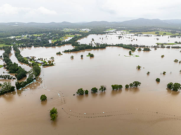 istock Wauchope NSW May 2025 Flooding 2217411870
