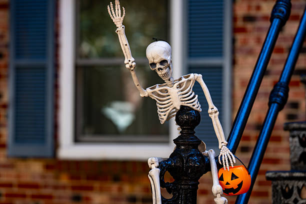 A plastic skeleton hangs from a tree outside a house in the city at Halloween.
