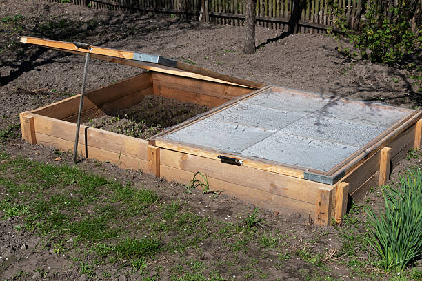 Growing seedlings in a home greenhouse.