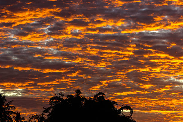 Morning Sunset Sky Background with Dramatic Clouds and Beautiful Scene Colors
