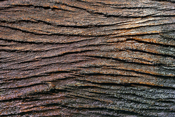 istock Close-up View of Textured Dark Wooden Surface with Natural Patterns 2217417016