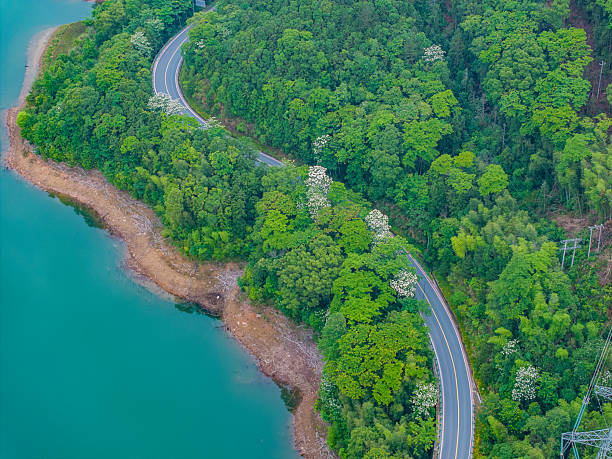 istock Winding mountain road beside green forest lake 2217421741