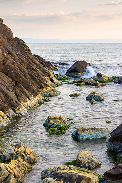 istock black sea nature in summer 2217421921