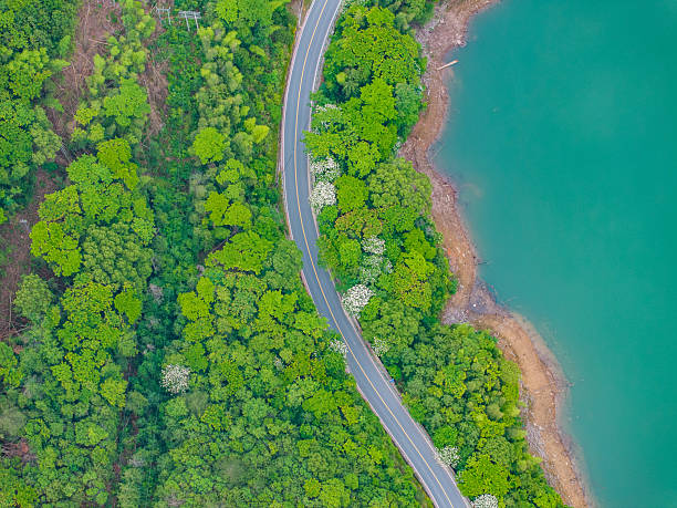 istock Winding mountain road beside green forest lake 2217421928