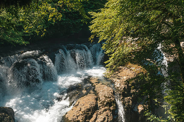 istock Waterfall lush greenery. Natural landscape with a waterfall 2217422071