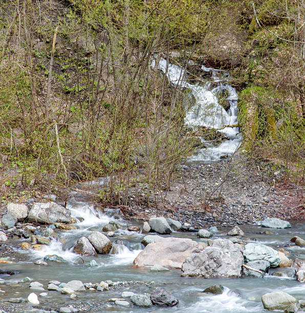 A stream of water flows down a rocky hillside. The water is clear and the rocks are scattered throughout the area. The scene is peaceful and serene, with the sound of the water