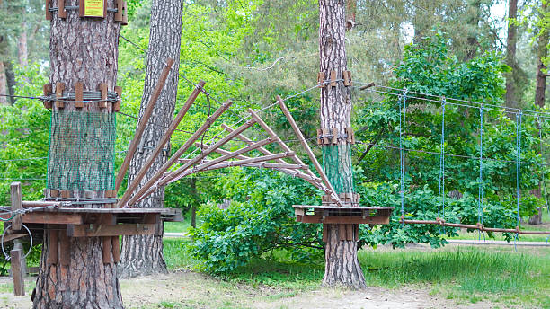 istock Empty children's rope park nestled in tranquil pine forest. 2217429998