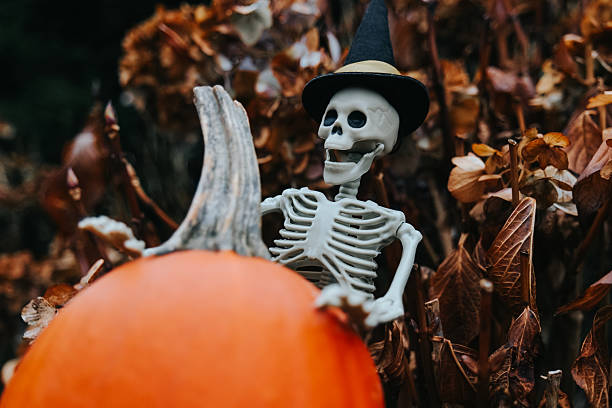 istock Skeleton Wearing Witch Hat. Skeleton decor with orange pumpkin in hydrangea bushes 2217432020